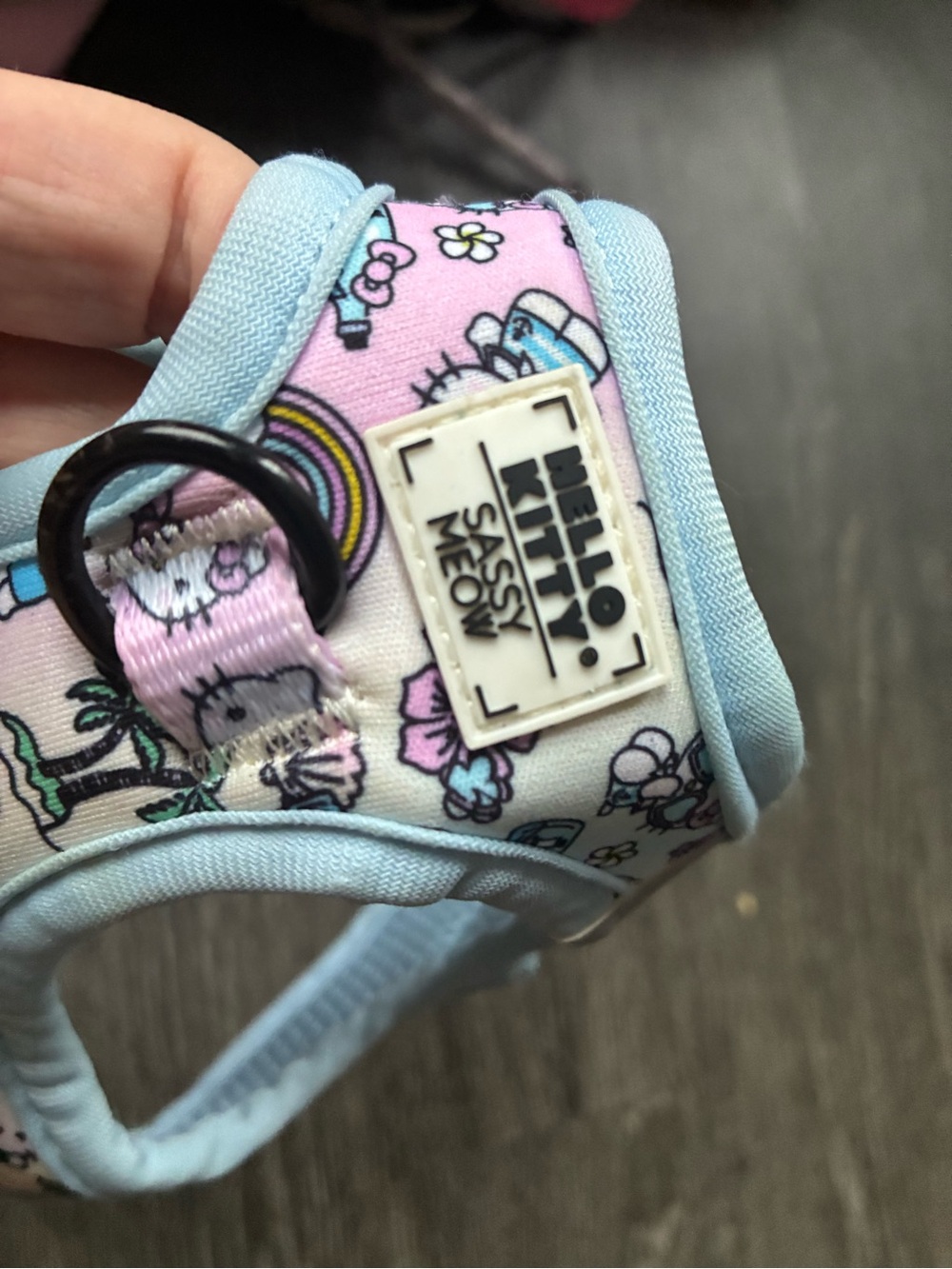 Hello Kitty Pink & Light Blue Kids Harness with Sassy Meow Patch